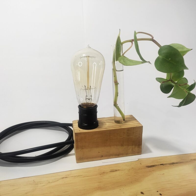 Luminária com cilindro para planta - Image 3